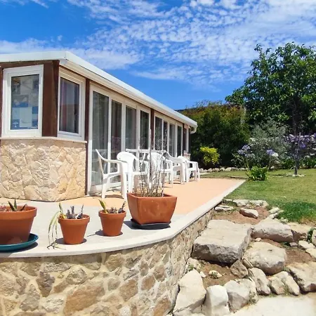 Family 7p 2025 Алкобаса