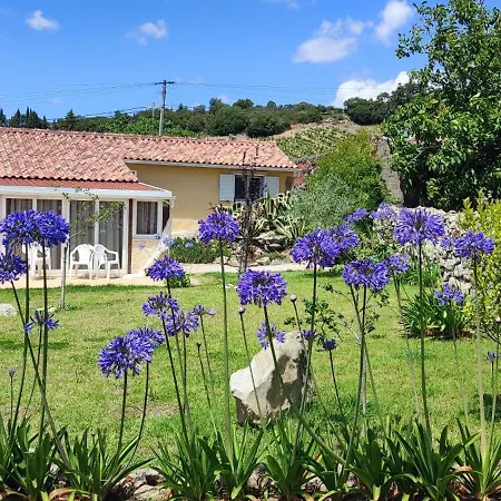 Family 7p 2025 * Алкобаса